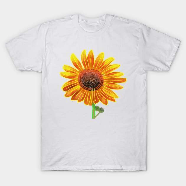 Sunflower Labyrinth (Eco Art) T-Shirt by Bill Ressl at Center To Awaken Kindness